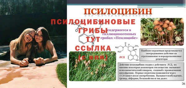 сатива Верея