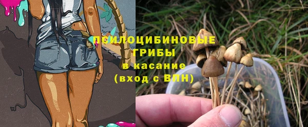 ПСИЛОЦИБИНОВЫЕ ГРИБЫ Верхний Тагил