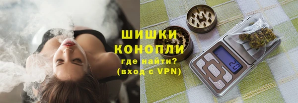 сатива Верея