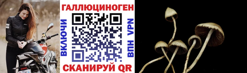 Купить Учалы Галлюциногенные грибы мицелий